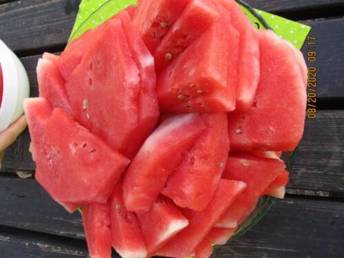 Melone, Danke an die Elternspenden!